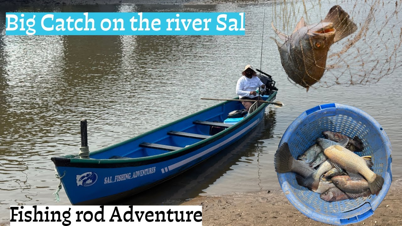 Rod fishing trip on the Sal, we came back with a big catch. #fish #fishing #rodfishing #barramundi 