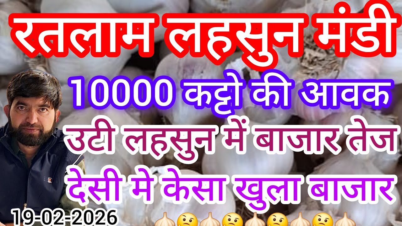 रतलाम मंडी में लहसुन का बाजार कैसा खुला ? Today Garlic price in ratlam m.p mandi  !!