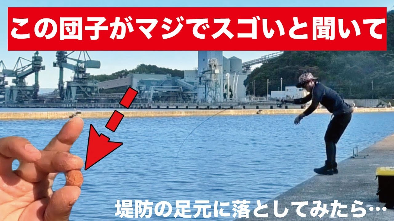 なんでも釣れるという伝説の釣りエサが存在すると聞いて、地元の堤防で使ってみたら…大物から小物まで色々釣れて大満喫だった件。