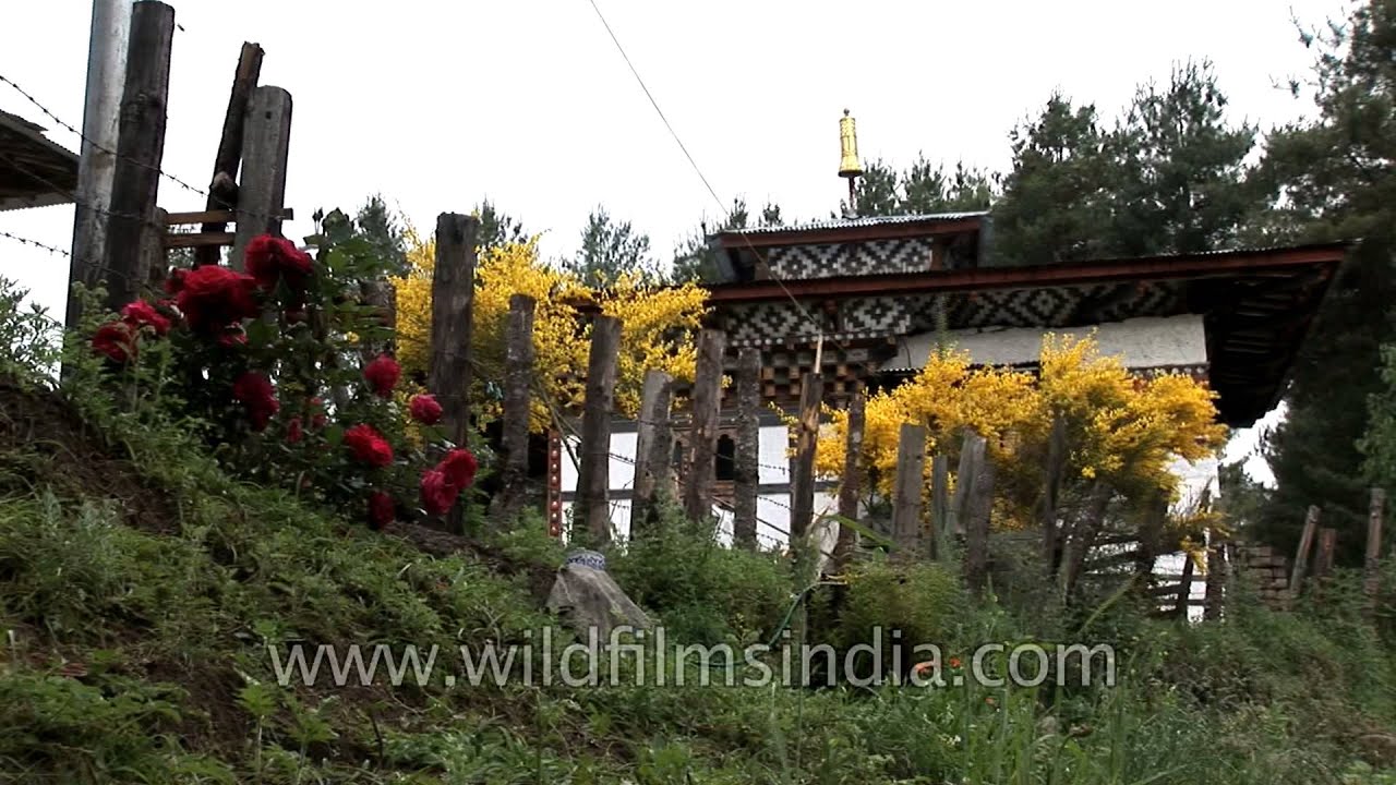 Life in Bumthang valley, Bhutan