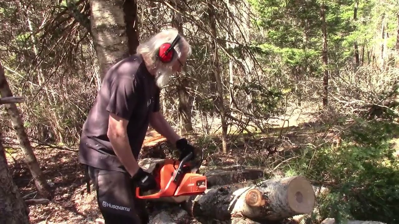 127 Processing Birch and Talking White Spruce