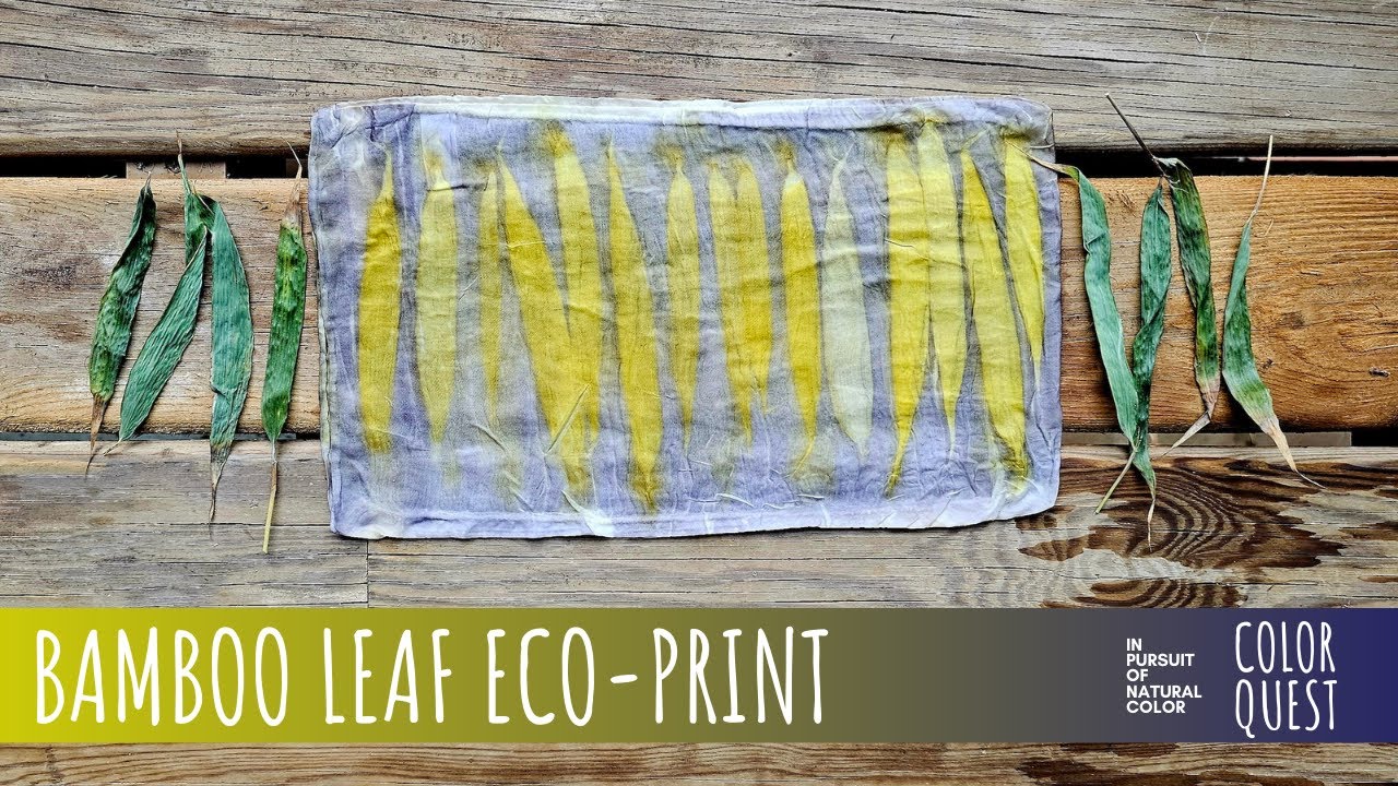 HOW TO ECO-PRINT WITH BAMBOO | ORGANIC COLOR | TANNIN  & IRON MORDANT BLANKET | BUNDLE DYE