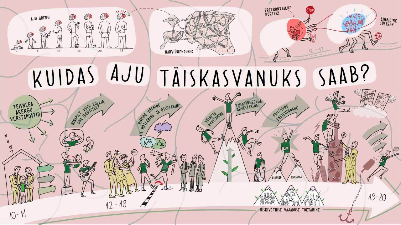 Kuidas mõjutab alkohol arenevat aju? (2. klipp ühtse tervikuna)