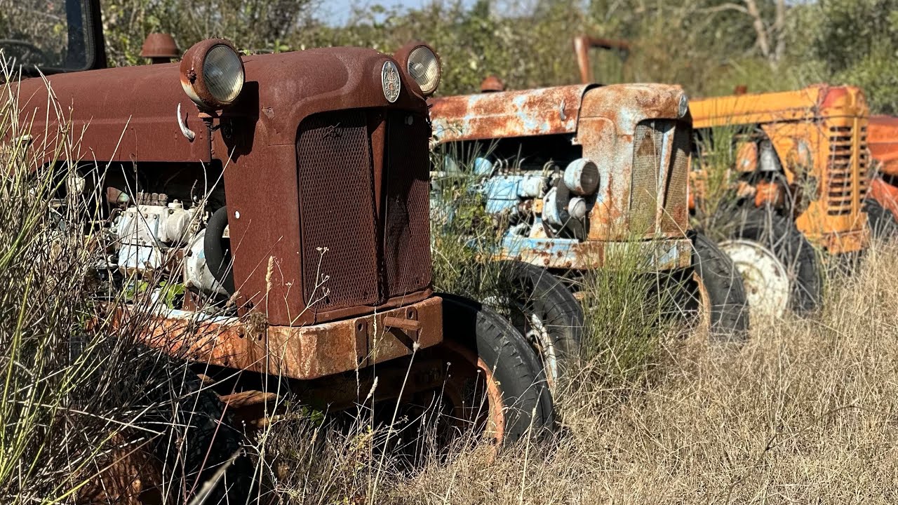 HO TROVATO UN CIMITERO ABBANDONATO DI 30 TRATTORI D’EPOCA!! PAZZESCO! MAI VISTA UNA COSA COSÌ!!
