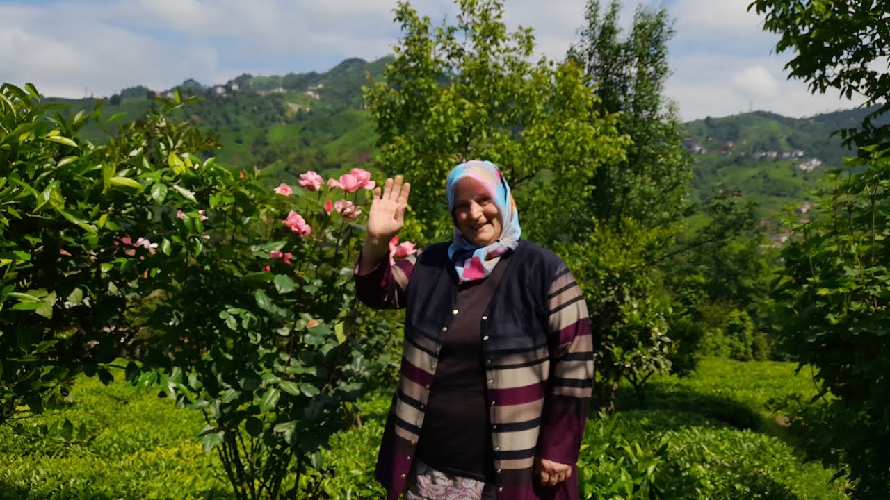 KÖY HAYATI FASÜLYEDE YÜKSE VERİM‼️ #köyhayatı #bahçeişleri #sebzeler
