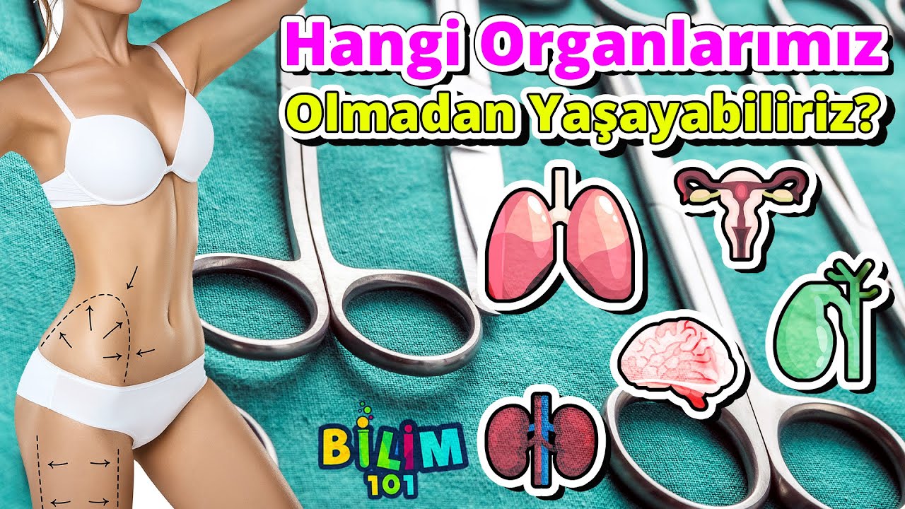 Hangi Organlarımız Olmadan da Yaşayabiliriz?