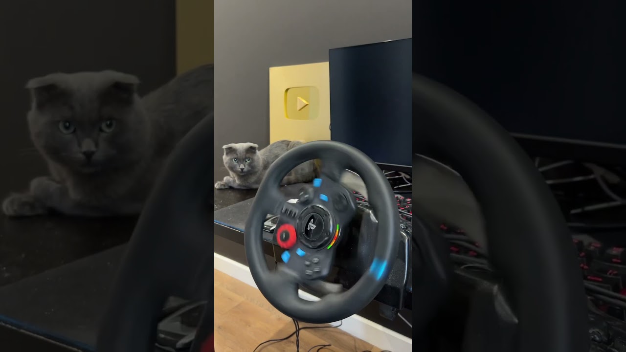 Logitech G29 ❤️ Forza Horizon 5 🔥
