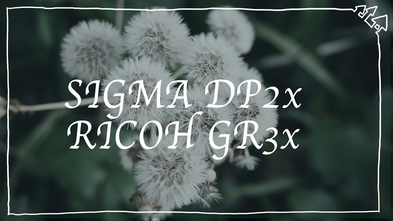 リコーGRⅢxとシグマDP2xで名古屋スナップ【#GoProHERO11 #GR3x #DP2x #ASMR #pov 】