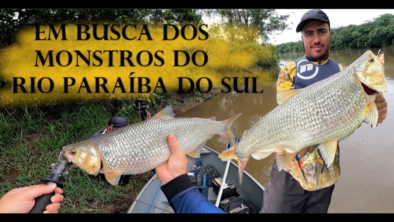 EM BUSCA DA PIABANHA DO RIO PARAÍBA DO SUL - FIZ UMA PESCARIA NO RIO PARAÍBA DO SUL EMBARCADO