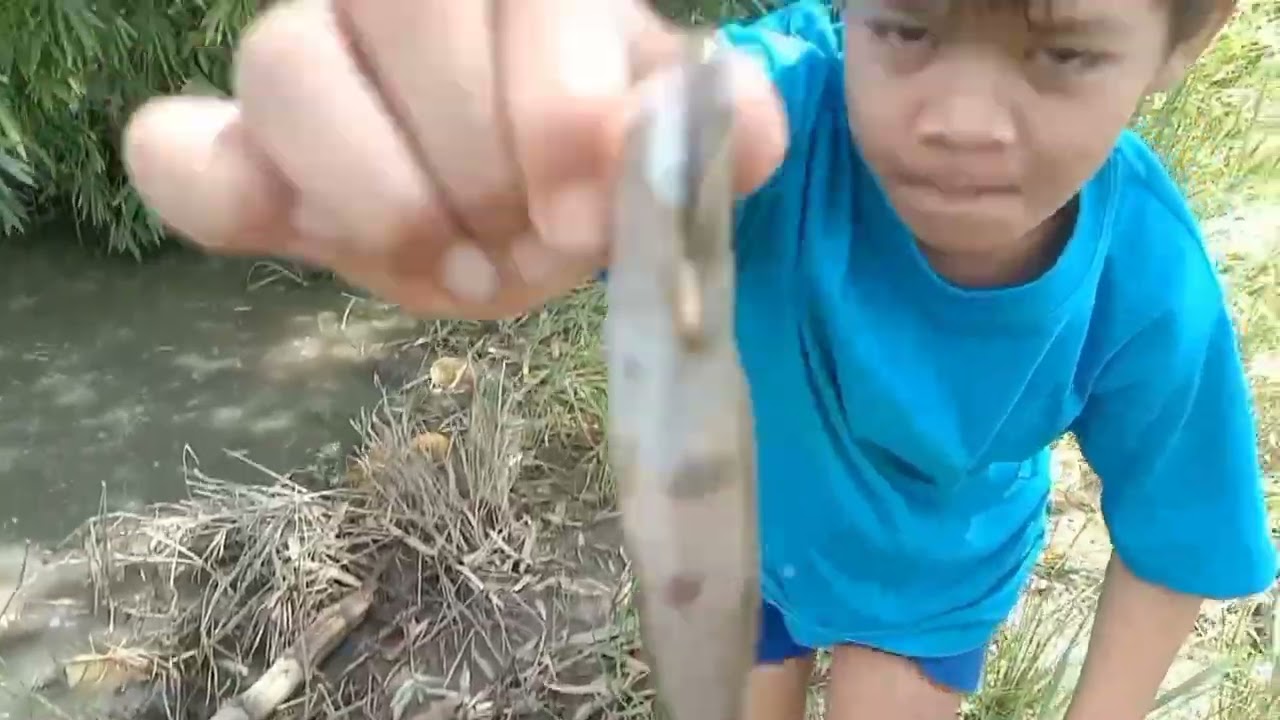 NANGURYENTE KAMI NG ILOG SA ISDA | Jofloridatv