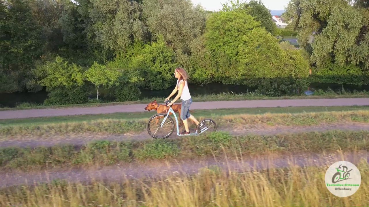 Tretroller Ortenau zeigt den Kostka Mushing