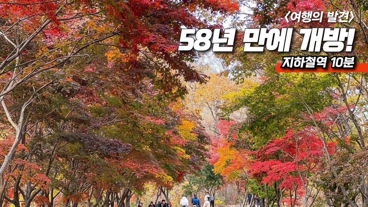 58년간 숨겨진 '금단의 숲길' 드디어 개방! 지하철로 가는 무장애길 | 서울 근교 대중교통 당일치기 여행