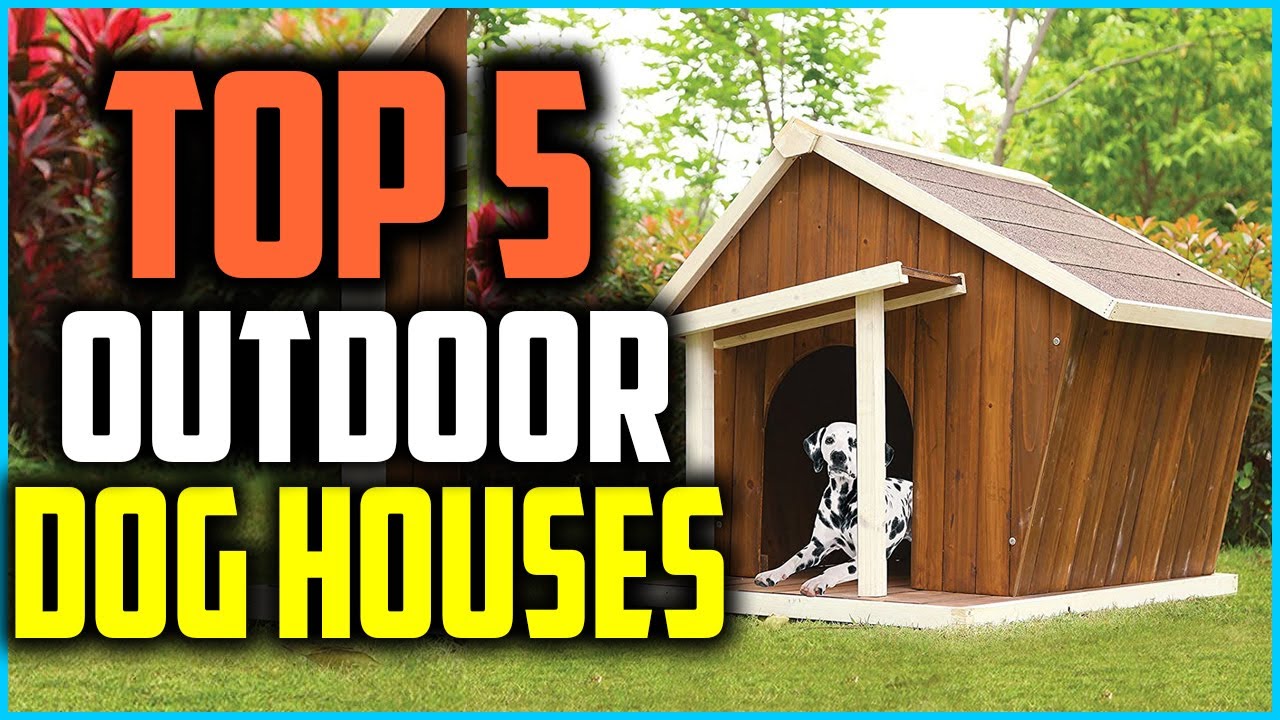 ✅Top 5 Best Outdoor Dog Houses in 2024