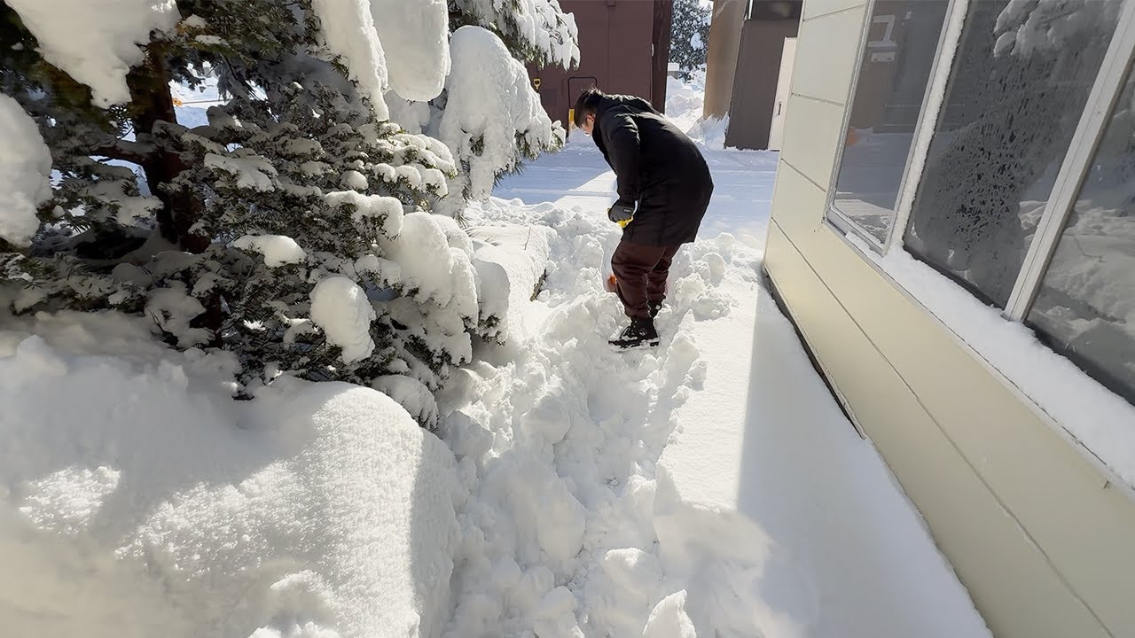 北海道一夜 25 公分積雪：今天鏟雪配便當