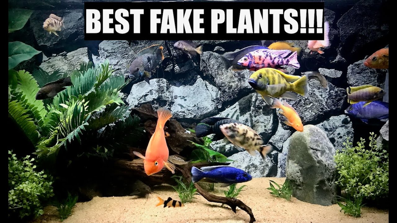 How To Find The BEST Fake Plants!!