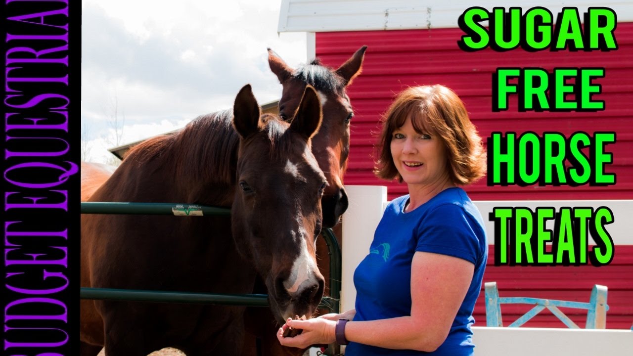 DIY Horse Treats Sugar Free! Easiest Recipe Ever!