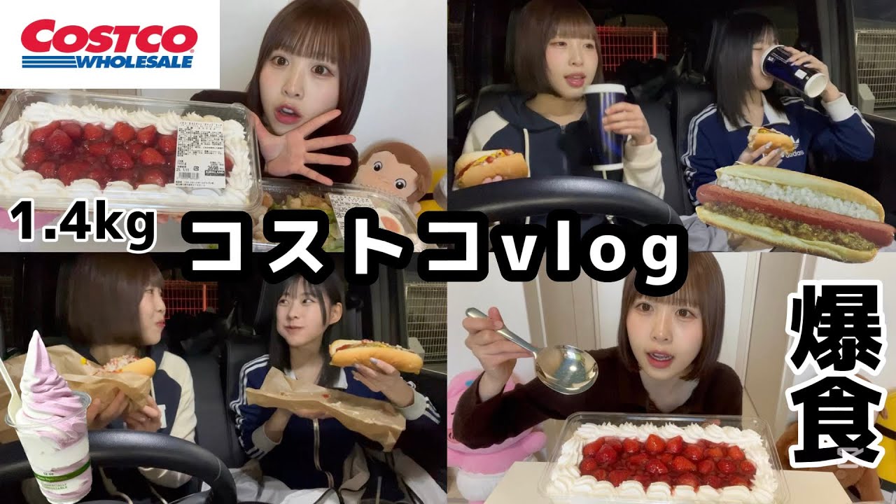 【vlog】コストコフードコートからの1.4kgケーキ爆食したら幸せすぎた