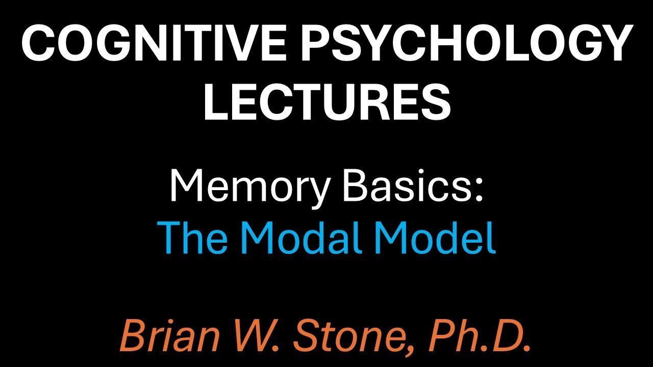 Cognitive Psychology - Memory Pt1 - The Modal Model