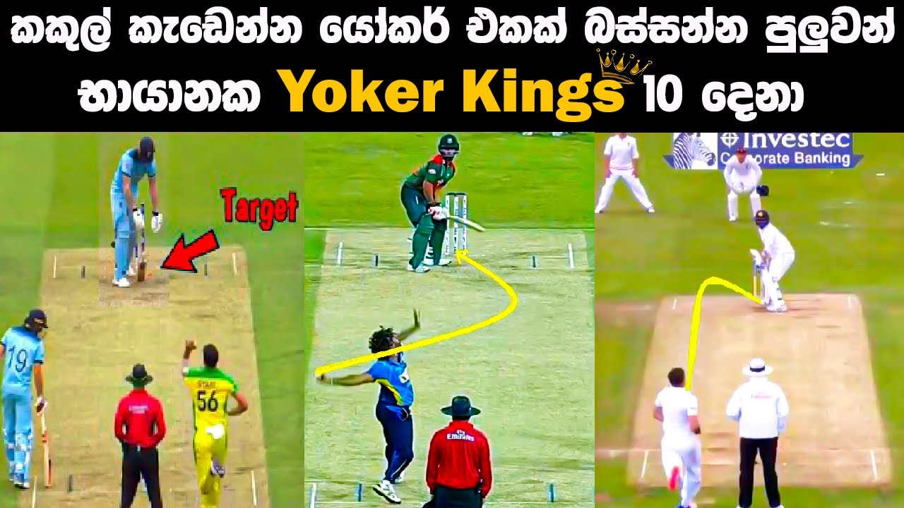ක්‍රිකට් ලොව බිහි වුනු Yoker Kingsලා 10 දෙනා 💥 Top 10 Yoker Kings in Cricket History