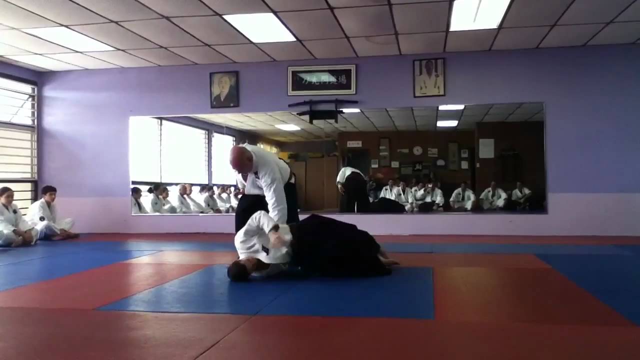 Hakkoryu demonstration