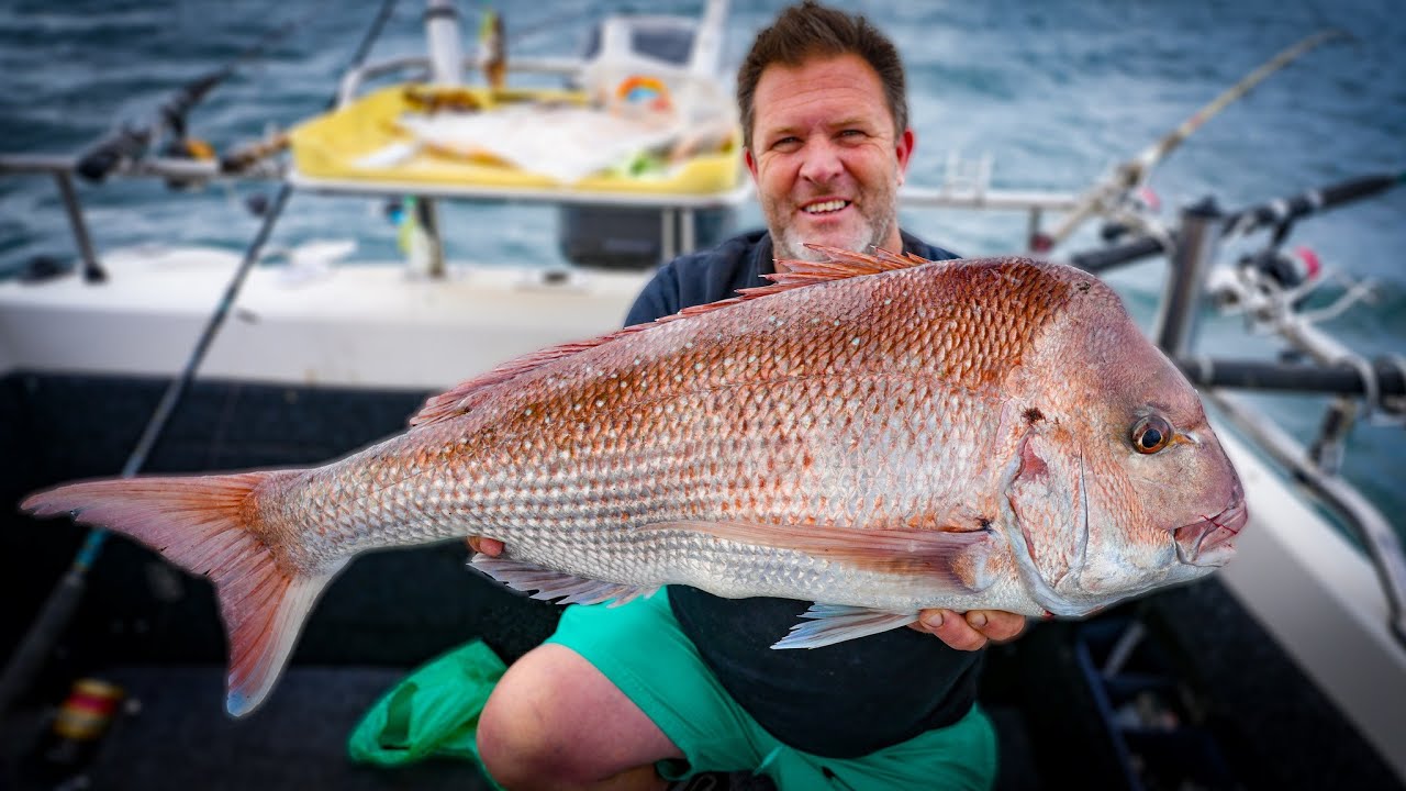 Hot Twilight Fishing Autumn Snapper Action!  | Reedy’s Rigs & Possum