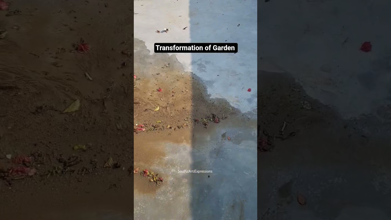 Transformation Of Garden 😄 