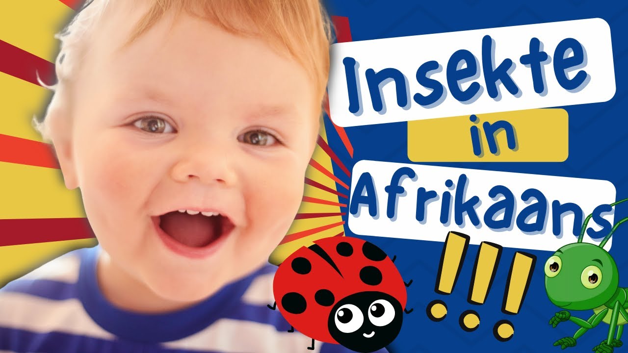 Insekte vir kinders #liedjie #kleure