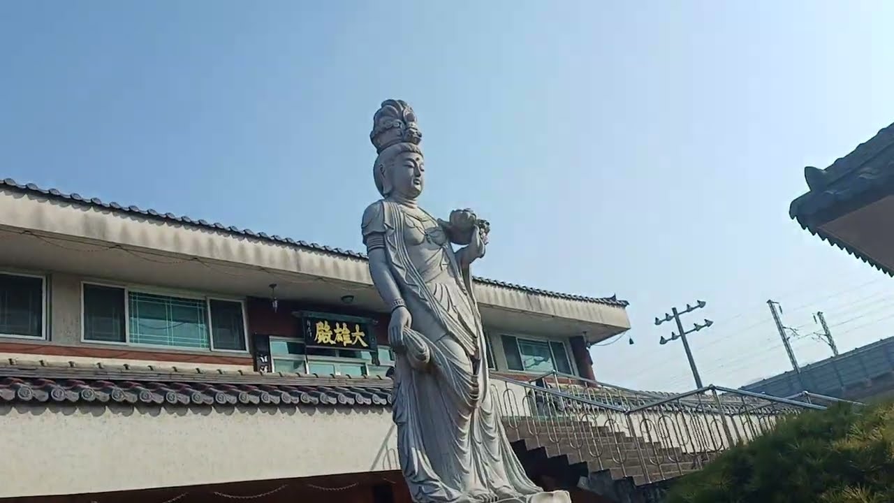 친한 친구의.... ...사망에... 목련꽃 터지려고...#개인택시 