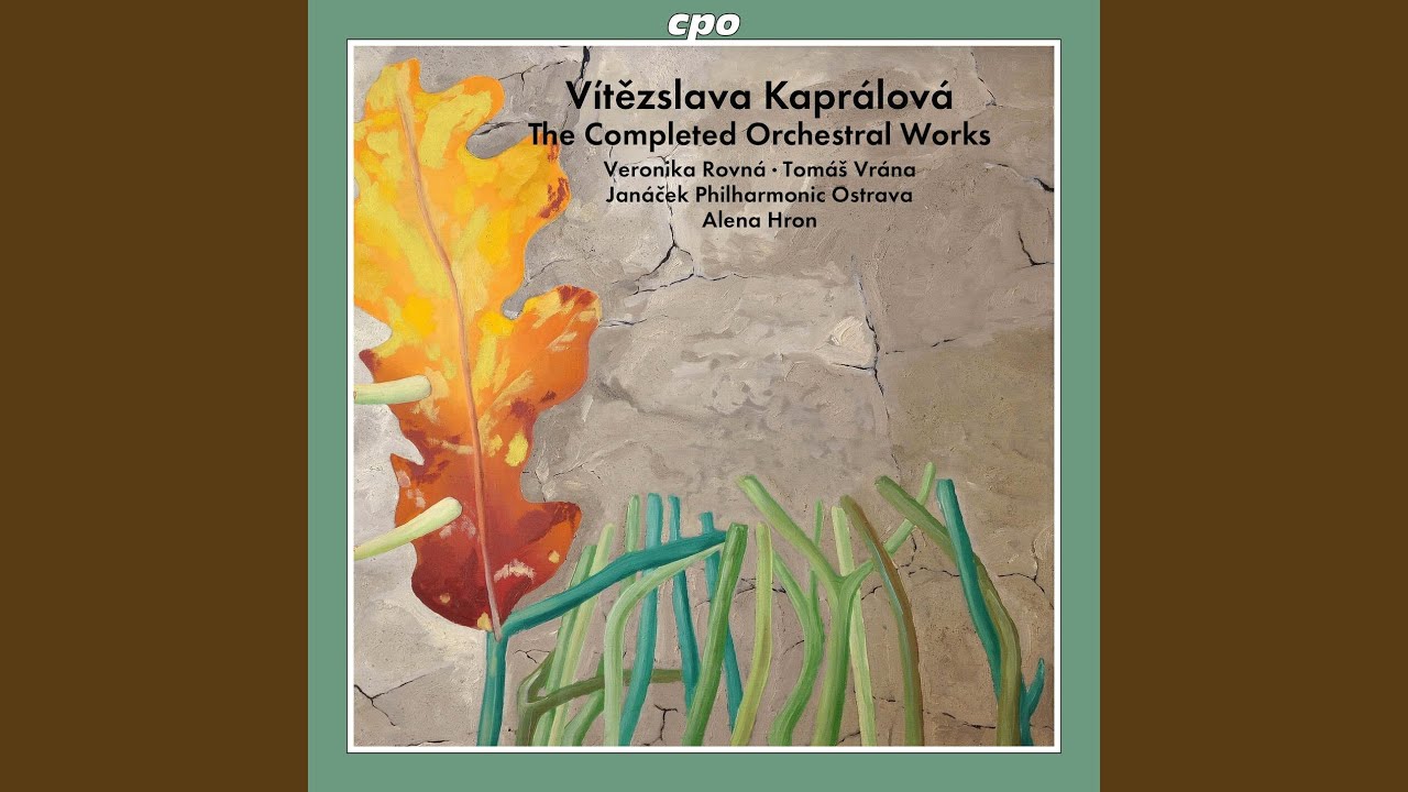 Piano Concerto in D Minor, Op. 7: II. Largo