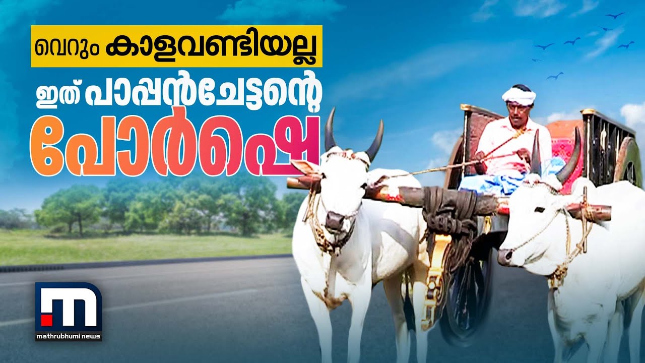 കാലം മാറിയിട്ടും കാളവണ്ടി യാത്ര കൈവിടാതെ ചങ്ങനാശ്ശേരിയിലെ ഒരു കുടുംബം | Mathrubhumi News