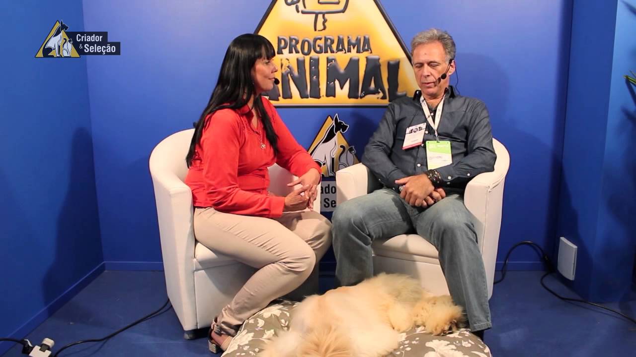 Entrevista Evaldo Adorno - Afghan Hound