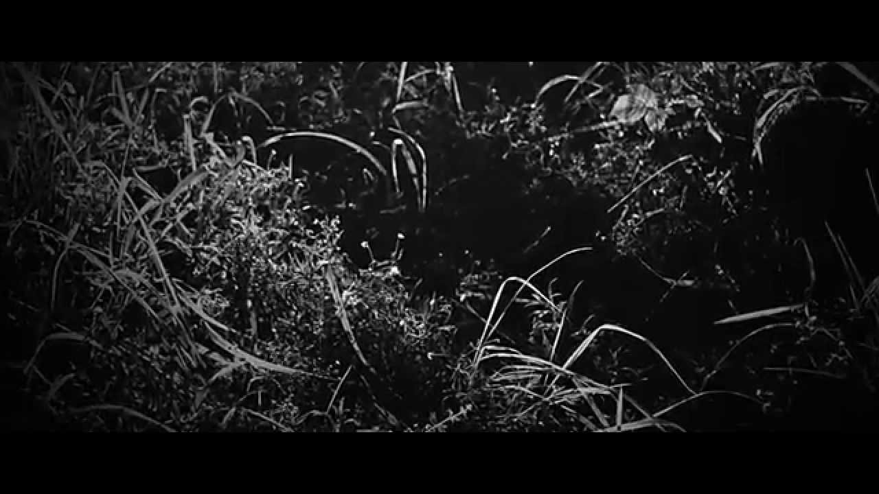 MAXIMONO - The Cannibal (Official Video)