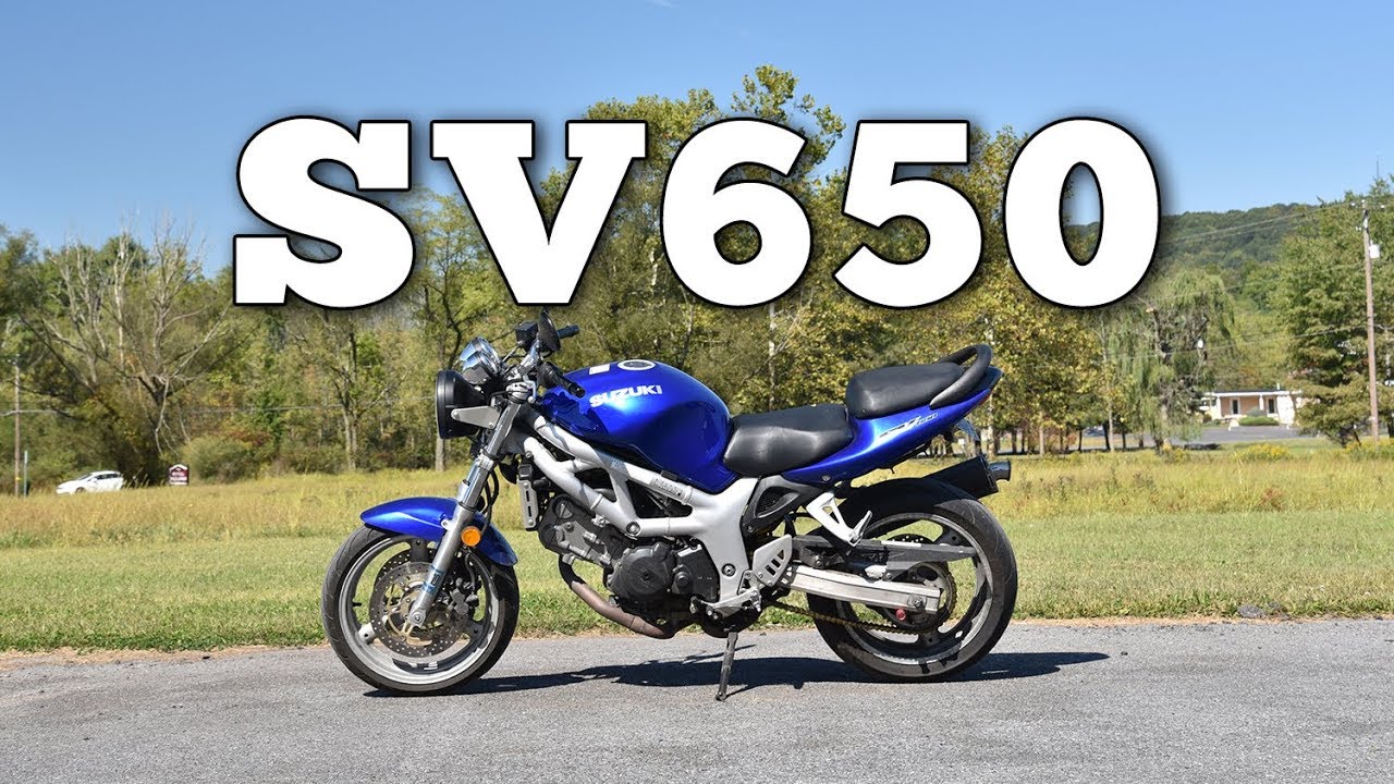 2001 Suzuki SV650: Regular Car Reviews