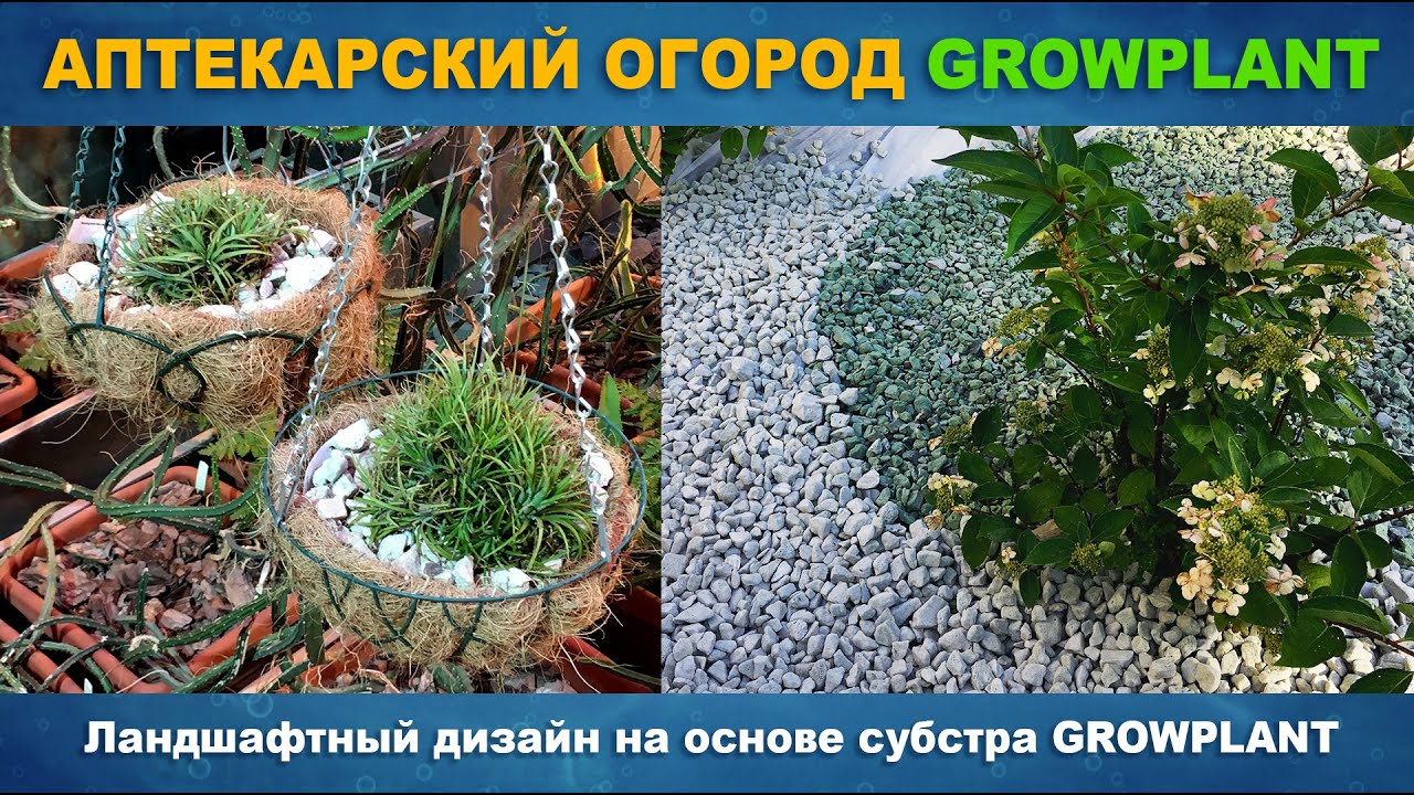АПТЕКАРСКИЙ ОГОРОД - GrowPlant Ландшафтный дизайн и мульчирование