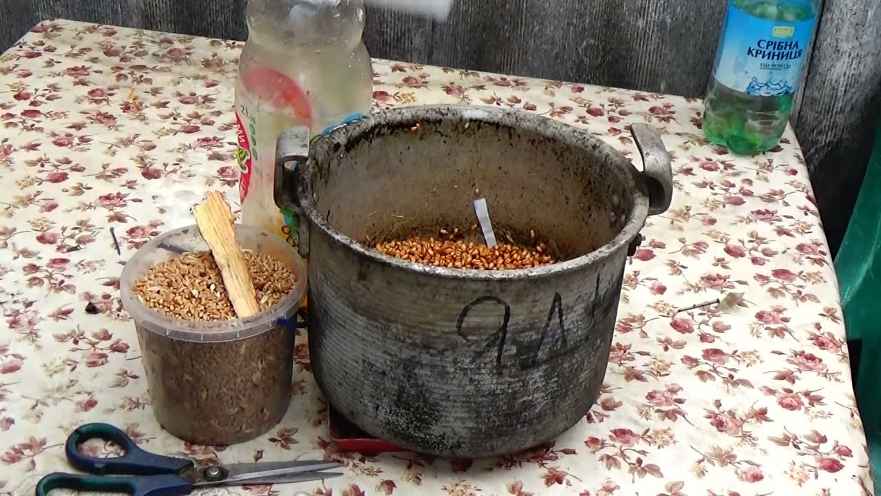 Забудьте о медведке !!  Часть 2. Как эффективно бороться с медведкой на протяжении всего сезона!
