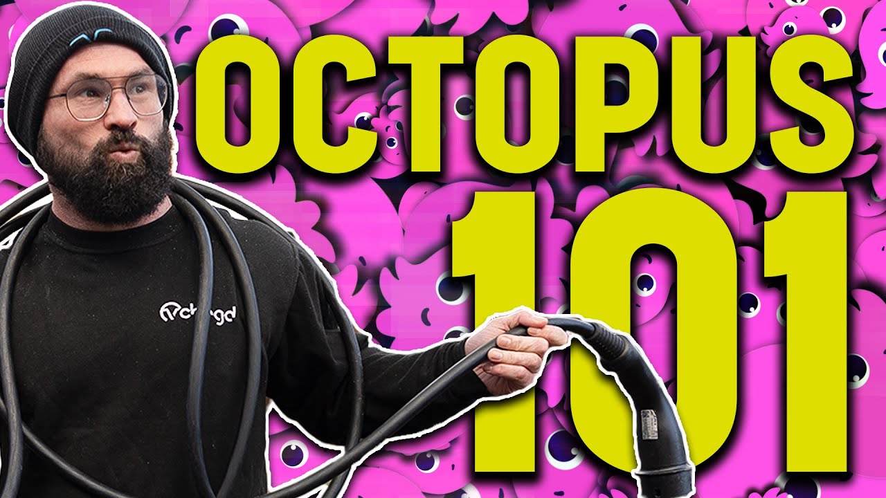 Intelligent Octopus EVERYTHING You Need To Know for vehicle integration! - Plug & Play #6