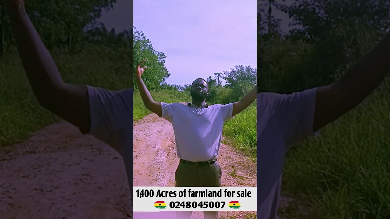 Farmlands for Sale in Ghana 🇬🇭🇬🇭🇬🇭 #subscribers