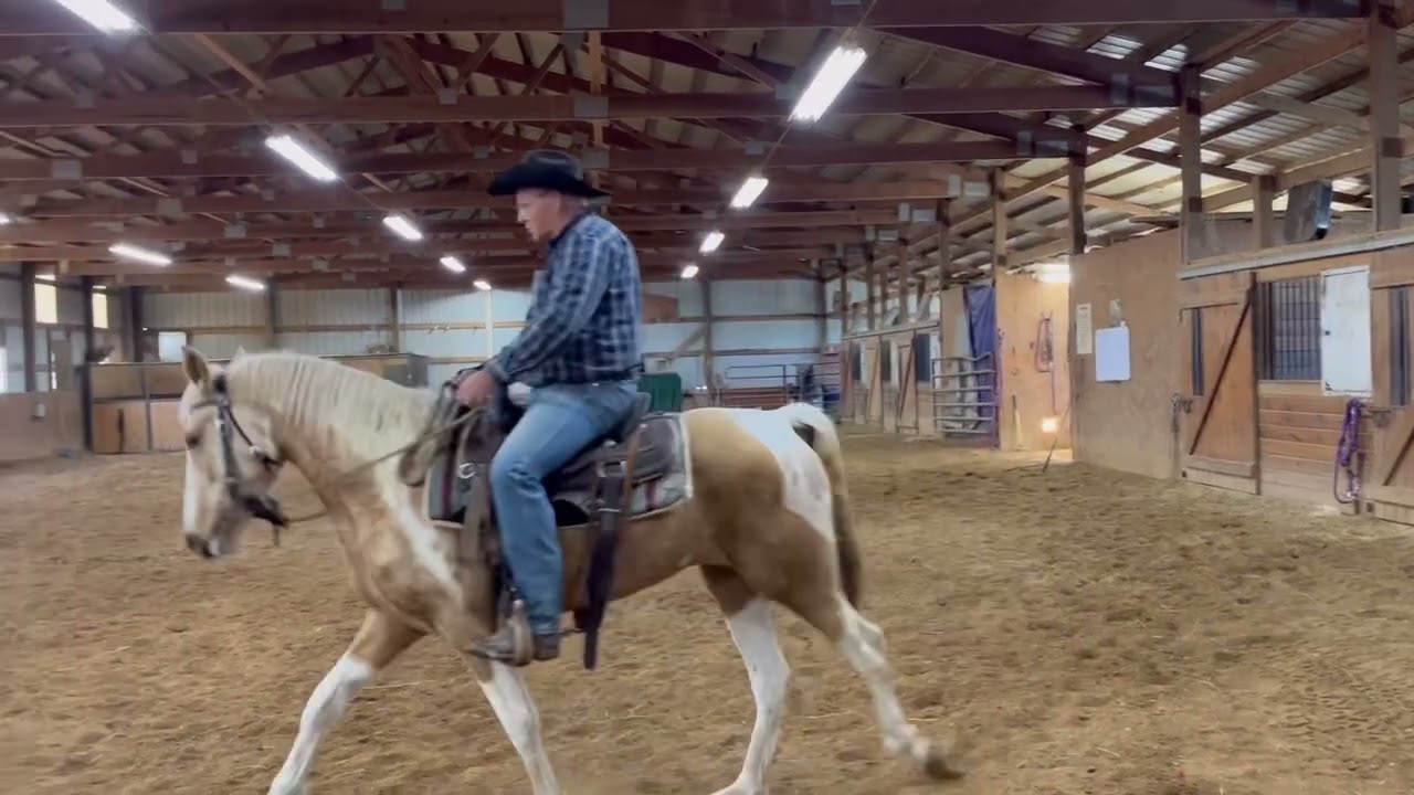 Teaching the side pass on a Missouri Foxtrotter with Mike Meizler