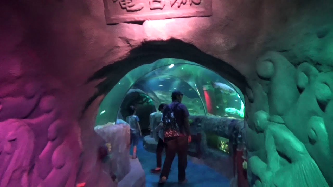 SEA LIFE NAGOYA探索(後編) 6月3日