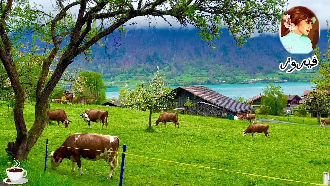 فيروزيات☕️الصباح في سويسرا🏞️أجواء ممطرة ☔️هادئه قرية إيسلتوالد|4K Rainy 🌧️walk Switzerland,Iseltwald