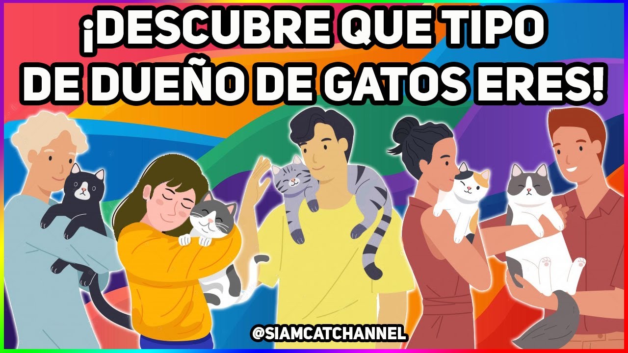 Tipos de Due&ntilde;os de Gatos Seg&uacute;n la Ciencia &iquest;Cu&aacute;l eres T&uacute;? - SiamCatChannel