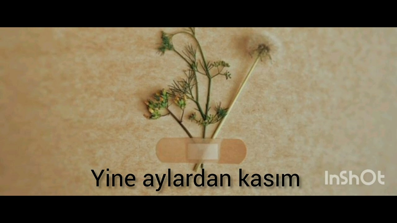 Nahide Babashli-Kasım