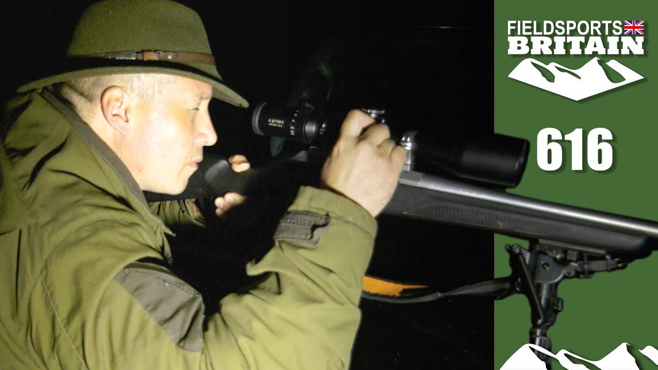 Fieldsports Britain – oldfashioned foxshooting