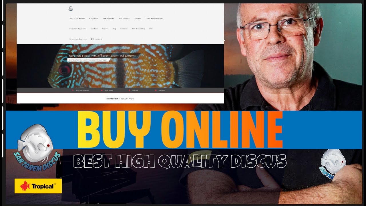 Buy Online Door to Door , THE BEST WILD DISCUS IN THE WORLD