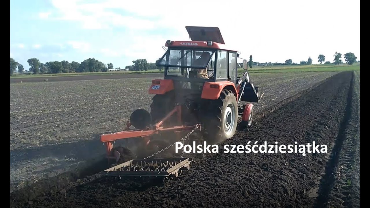 Orka pod pszenżyto - Ursus C-360, Unia Grudziądz 3  + kolczatka [dźwięk silnika]