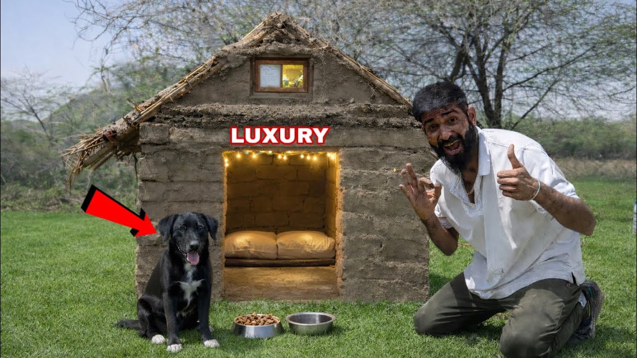 I Built a Natural Cooling Dog House for My Dog Patlu 🐶 (No AC Needed!)