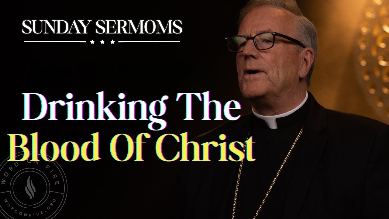 Is Your Soul And Body In Conflict? - Bishop Barron's Sunday Sermon