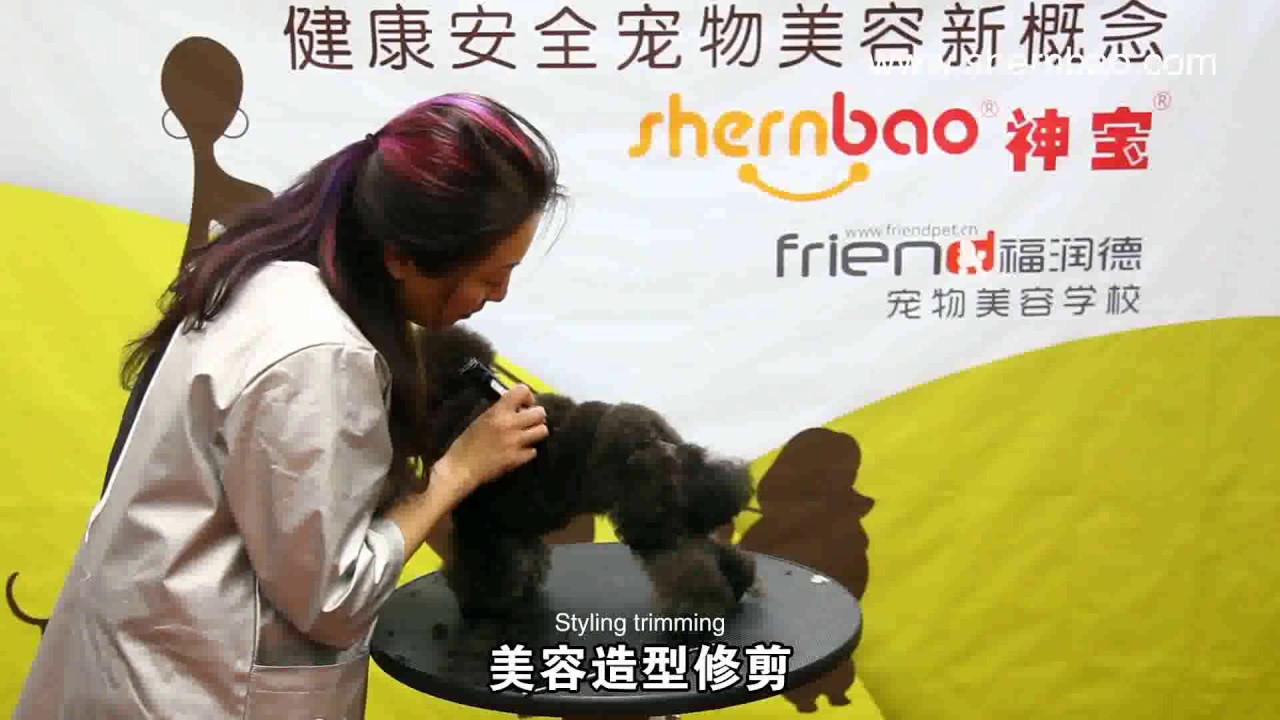 Shernbao mini trimmer PGC 410-EN