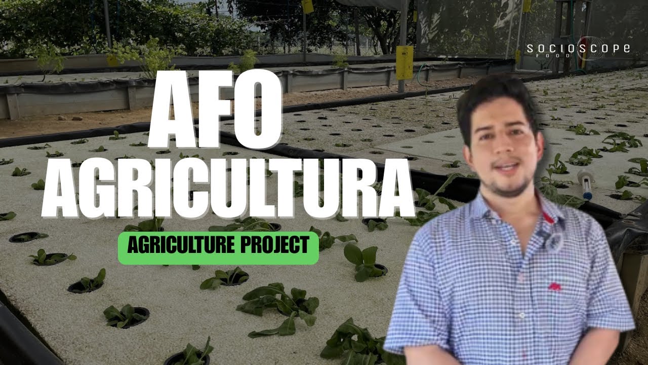 Farming Without Soil: How Aquaponics Saves Water & Energy –AFO Agricultura (Villavicencio, Colombia)