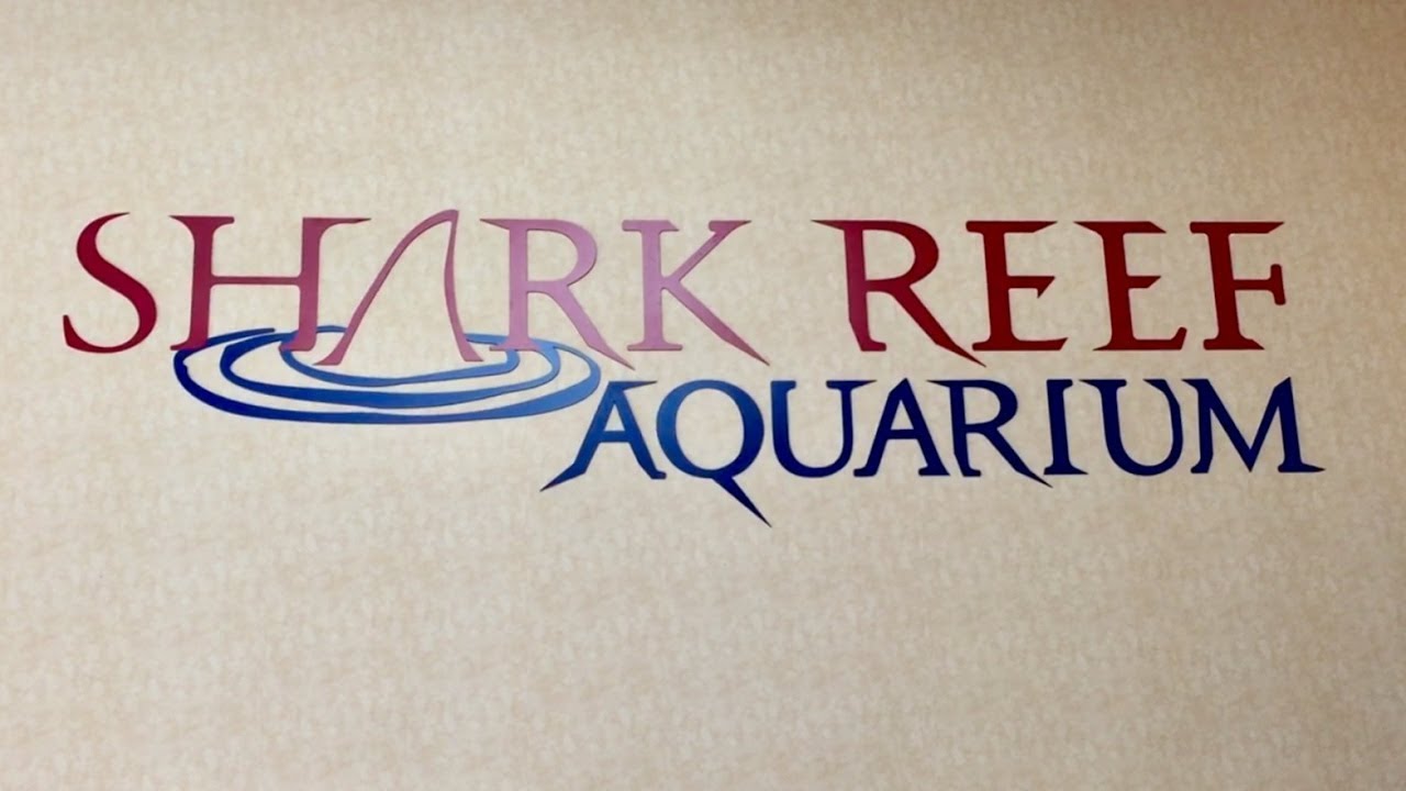 Shark Reef Aquarium at Mandalay Bay Full Tour - Las Vegas, Nevada